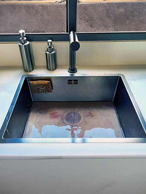 Root Removal & Clearing